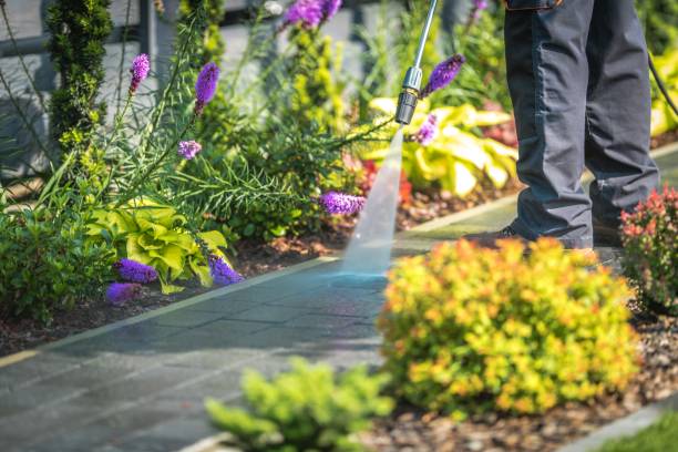 Best Spring Cleaning  in Englewood, FL